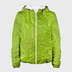 Женская куртка Листок с росой