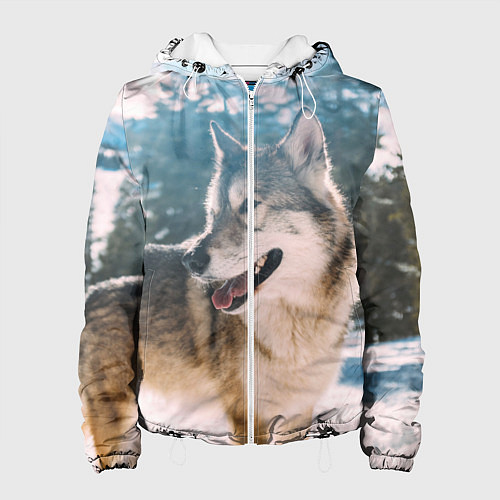 Женская куртка Волк и снег / 3D-Белый – фото 1