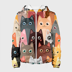 Женская куртка Котики мультяшные