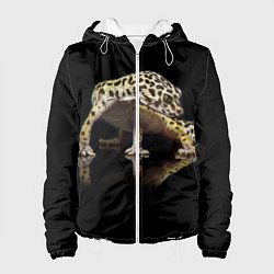 Женская куртка ЭУБЛЕФАР EUBLEPHARIS