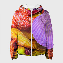 Женская куртка Разноцветные ракушки multicolored seashells