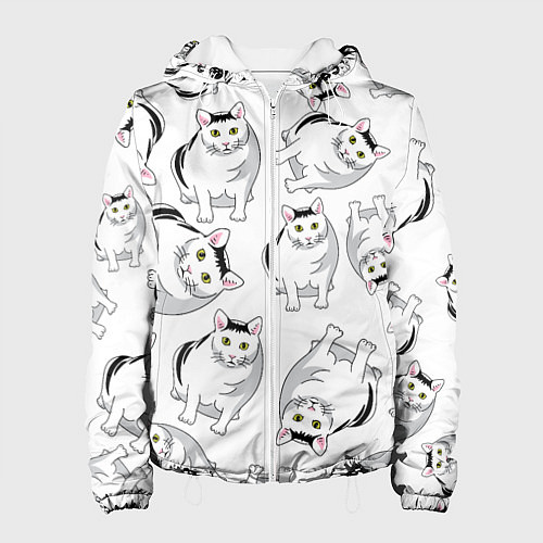 Женская куртка КОТИКИ МЕМ МЯУ / 3D-Белый – фото 1