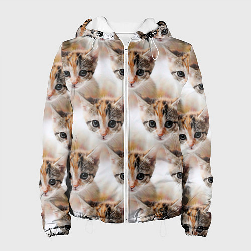 Женская куртка Маленький котенок паттерн / 3D-Белый – фото 1