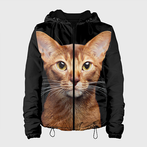 Женская куртка Молодая абиссинская кошечка / 3D-Черный – фото 1