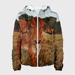 Женская куртка Коровка на поле