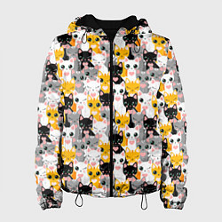 Женская куртка Colorful kittens