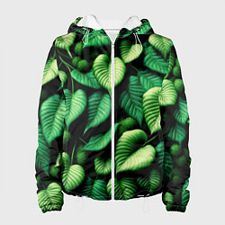 Женская куртка Зеленые листья и мох