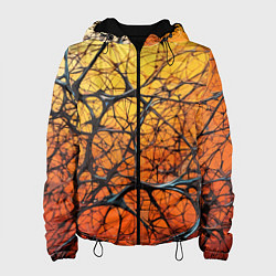 Женская куртка Чёрные волокна и жёлтый градиент абстракция