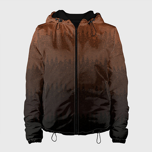 Женская куртка Чёрно-коричневый полосы от светлого к тёмному / 3D-Черный – фото 1