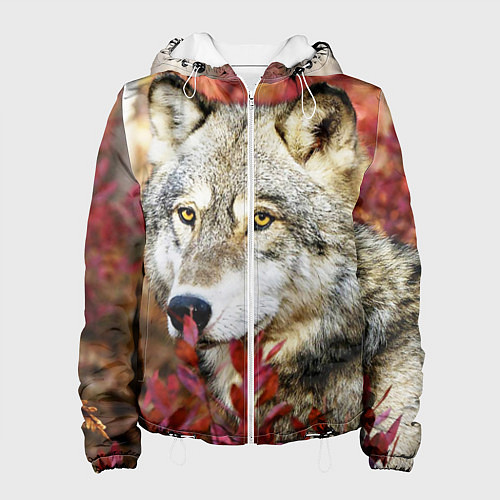 Женская куртка Волк в кустах / 3D-Белый – фото 1