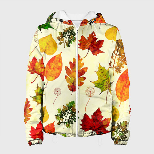 Женская куртка Осень / 3D-Белый – фото 1
