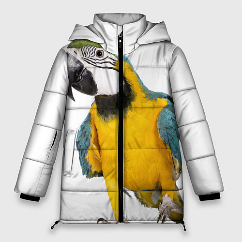 Женская зимняя куртка Попугай ара / 3D-Черный – фото 1