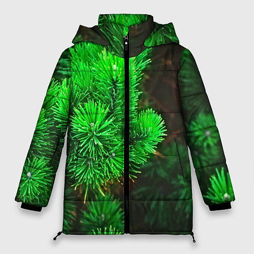 Женская зимняя куртка Зелёная ель / 3D-Черный – фото 1