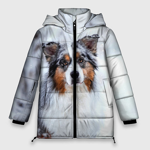 Женская зимняя куртка Австралийская овчарка / 3D-Черный – фото 1
