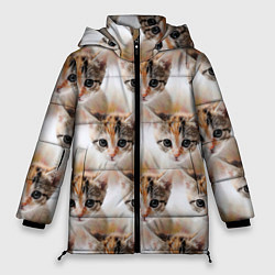 Куртка зимняя женская Маленький котенок паттерн, цвет: 3D-черный