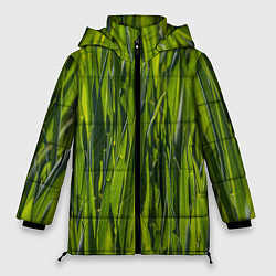 Куртка зимняя женская Ландшафт зелень, цвет: 3D-черный