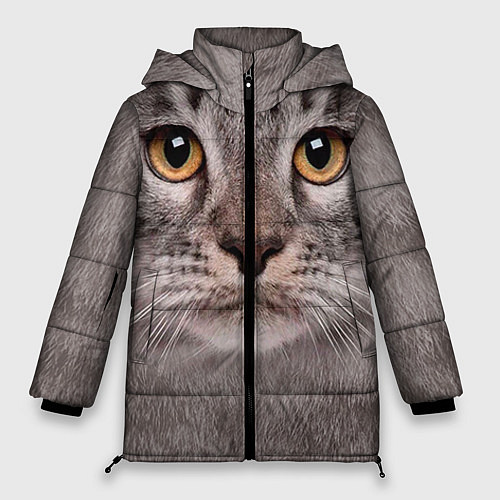 Женская зимняя куртка Котик / 3D-Черный – фото 1