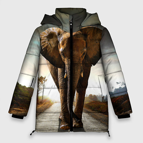 Женская зимняя куртка Дикий слон / 3D-Черный – фото 1