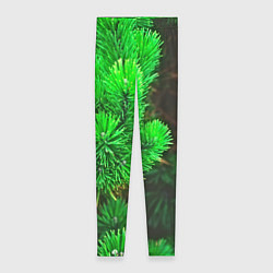 Леггинсы женские Зелёная ель, цвет: 3D-принт