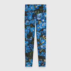 Леггинсы женские Поле синих цветов фиалки лето, цвет: 3D-принт
