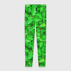 Леггинсы женские Зелёные листья - текстура, цвет: 3D-принт