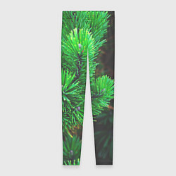 Леггинсы женские Зелёный лес России, цвет: 3D-принт