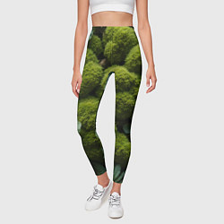 Леггинсы женские Зеленый мох и листья, цвет: 3D-принт — фото 2