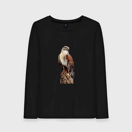 Женский лонгслив NOBLE HAWK / Черный – фото 1