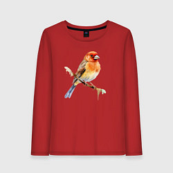 Лонгслив хлопковый женский Оранжевая птица на ветке, цвет: красный