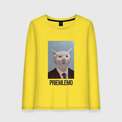 Лонгслив хлопковый женский Приемлемо - кот мем в живописи, цвет: желтый