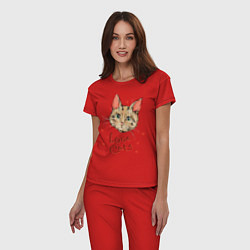 Пижама хлопковая женская Люблю котиков, цвет: красный — фото 2