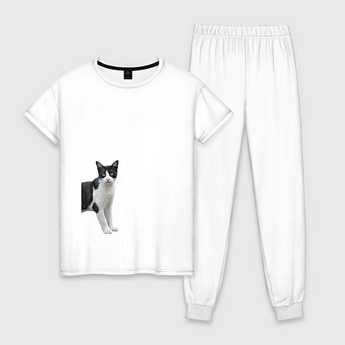Женская пижама Смотрящая кошка / Белый – фото 1