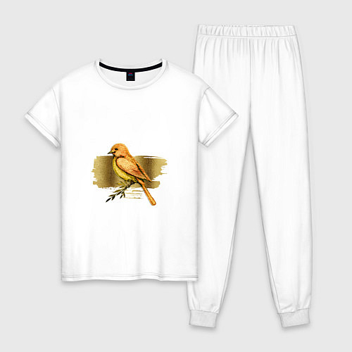 Женская пижама Золотая птица / Белый – фото 1