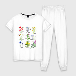 Женская пижама Иллюстрации полевых цветов с названиями