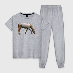 Пижама хлопковая женская Креольская лошадь, цвет: меланж