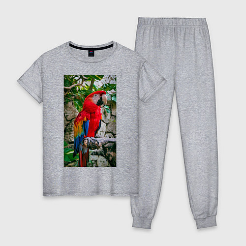 Женская пижама Попугай во всей красе / Меланж – фото 1