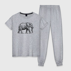 Пижама хлопковая женская Слон гуляет, цвет: меланж