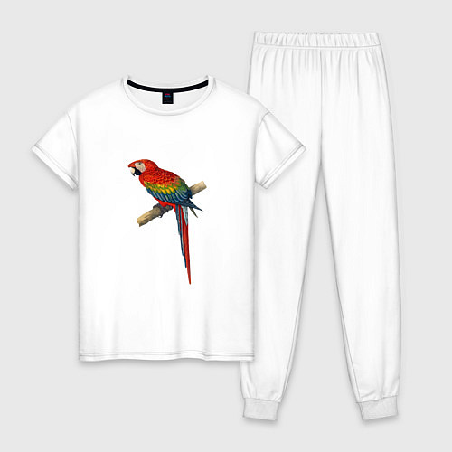 Женская пижама Попугай ara macaw / Белый – фото 1
