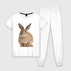 Пижама хлопковая женская Бежевый кролик, цвет: белый