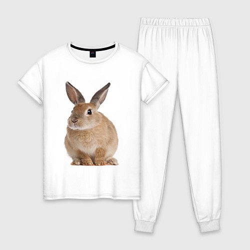 Женская пижама Бежевый кролик / Белый – фото 1