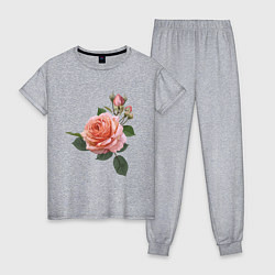 Пижама хлопковая женская Розовые розы, цвет: меланж