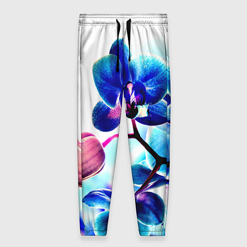 Женские брюки Фиолетовая орхидея / 3D-принт – фото 1