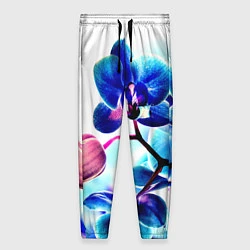 Женские брюки Фиолетовая орхидея