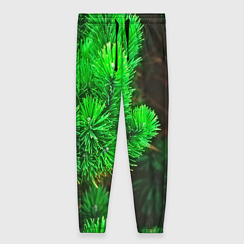 Женские брюки Зелёная ель / 3D-принт – фото 1