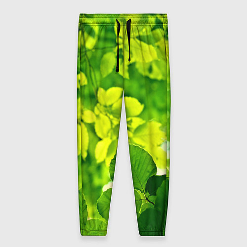 Женские брюки Зелёные листья / 3D-принт – фото 1