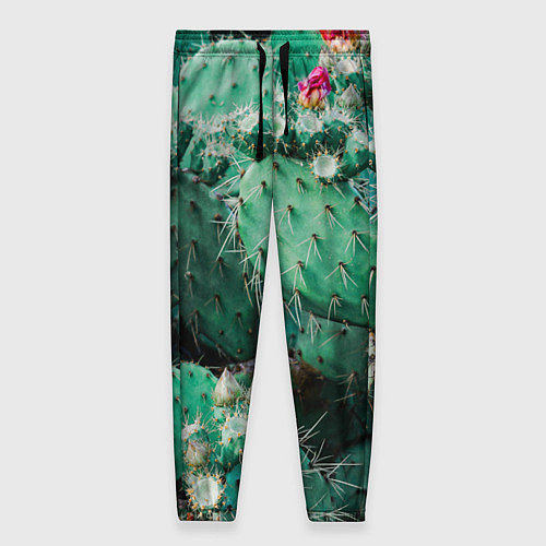 Женские брюки Кактусы с цветами реализм / 3D-принт – фото 1