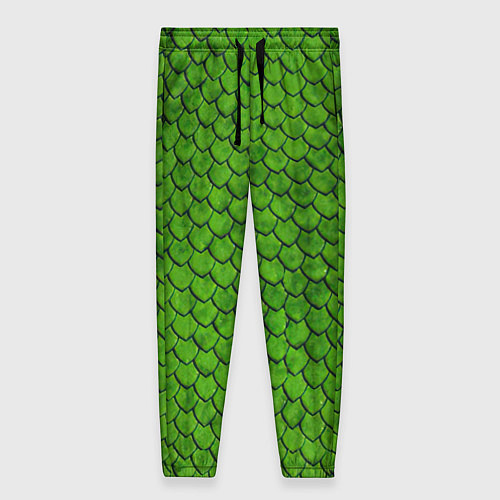 Женские брюки Зелёная чешуя / 3D-принт – фото 1