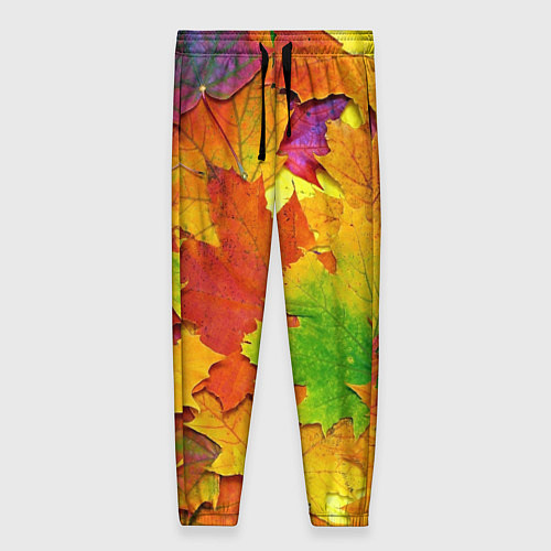 Женские брюки Осенние листья / 3D-принт – фото 1