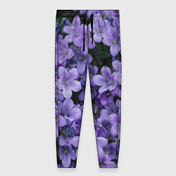 Женские брюки Фиолетовый цвет весны