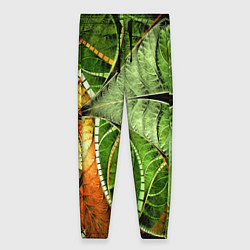 Брюки женские Растительный абстрактный фрактальный паттерн Veget, цвет: 3D-принт
